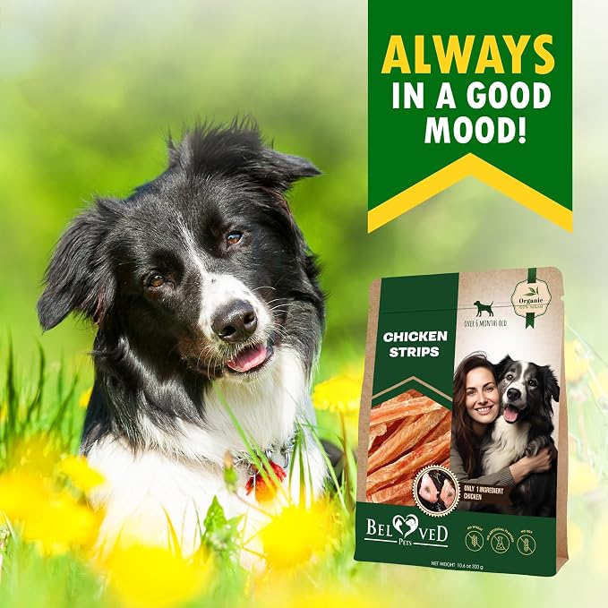 Beloved Pets Dog Treats Jerky - Human Grade Meat Sticks - Natural Pet Dried Snacks Rawhide - Free - Long Lasting Chews for Large & Small Dogs (24 oz (Pack of 1), Chicken Jerky Strips)