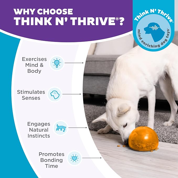 Outward Hound Snoop Interactive Treat Dispensing Dog Toy, Orange, 5" | Rolls & Bounces, Treat Stuffer, Puzzle Ball & Slow Feeder, Enrichment, Mint Scented, Easy Clean, No BPA, Medium to Large Dogs