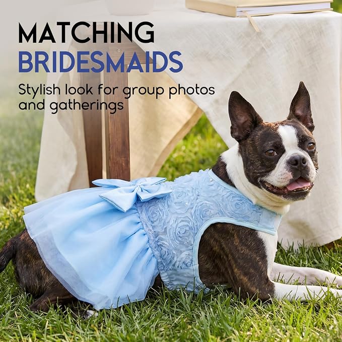 ASENKU Dog Dress Pet Wedding Dress Puppy Birthday Party Outfit, Blue XS | Dog Flower Girl Dress With Leash Hole, Princess Puppy Dress For Weddings, Daily Wear, Fits Small Medium Large Dogs Cats