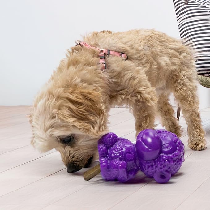 KONG Rewards Zoolooz Treat Dispenser Toy – Interactive Enrichment Puzzle for Dogs – Dispenses Treats & Kibble – Use Ziggies – Assorted Animals (Purple Monkey)
