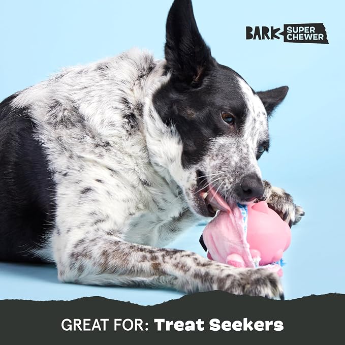 BarkBox Hambone Super Chewer Tough Dog Chew Toy - Toy for Large Dogs
