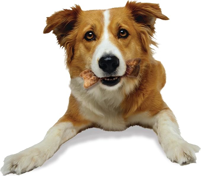 Nylabone Healthy Edibles Wild Dog Treats, Bison Flavor, Medium, 2 Count | Natural dog chew bones, made in USA, highly digestible dog chews, long lasting chews for medium dogs up to 35 lbs