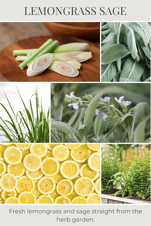 Eco Candle Co. Lemongrass Sage Tea Light Candles, 10-Pack, 9 Hr Burn Time | Scents of Lemongrass & Sage - Recyclable, No Lead, Hand Poured, Made from Midwest Grown Soybeans, .6 oz. Each