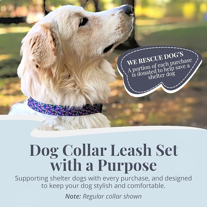 Lucky Love Dog Martingale Collar & Leash Set No Slip Cute – Primrose, Large