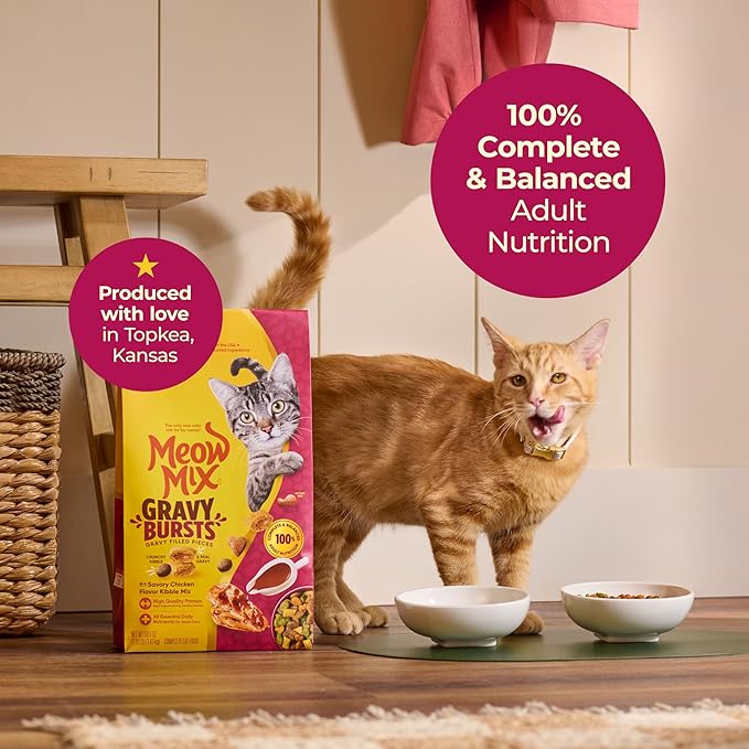 Meow Mix Gravy Bursts Dry Cat Food, 3 lb Bag | Crunchy cat kibble, gravy filled pieces, 100% complete & balanced nutrition