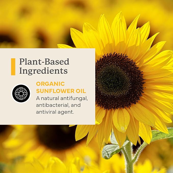 PurO3 Ozonated Sunflower Oil – Pure, Natural, Organic Skincare for Face & Body – Oxygenated Healing Lotion, Moisturizer & Beauty Cream in a Glass Jar – O3 Therapy Salve, 2 oz