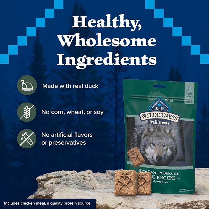 Blue Buffalo Wilderness Trail Treats Duck Crunchy Dog Biscuits, 10 oz | Real Duck #1 Ingredient, High Protein & Grain-Free Dog Snacks, Great for Training, No Artificial Preservatives