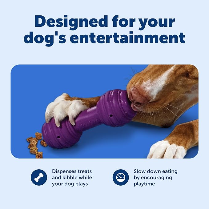 PetSafe Busy Buddy Chuckle Sound Dog Chew Toy - Treat Dispenser, BB-CHK, Purple