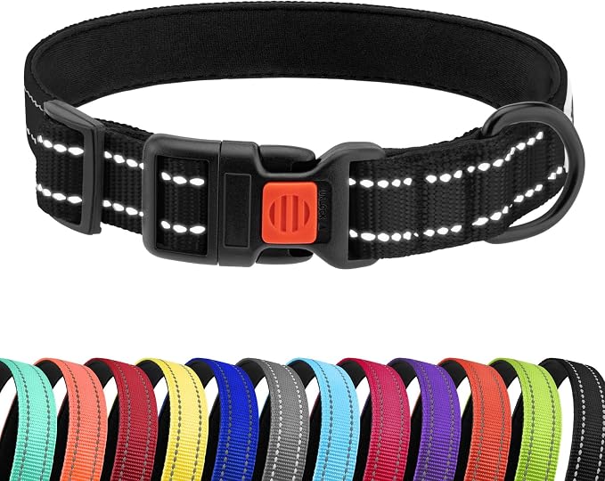 Reflective Dog Collar, Quick-Release Buckle (Black, 18-26 Inch)