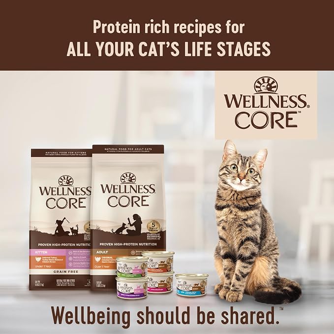 Wellness CORE Adult Dry Cat Food, Natural, Grain Free Kibble, Turkey and Duck Recipe, 11 lb Bag