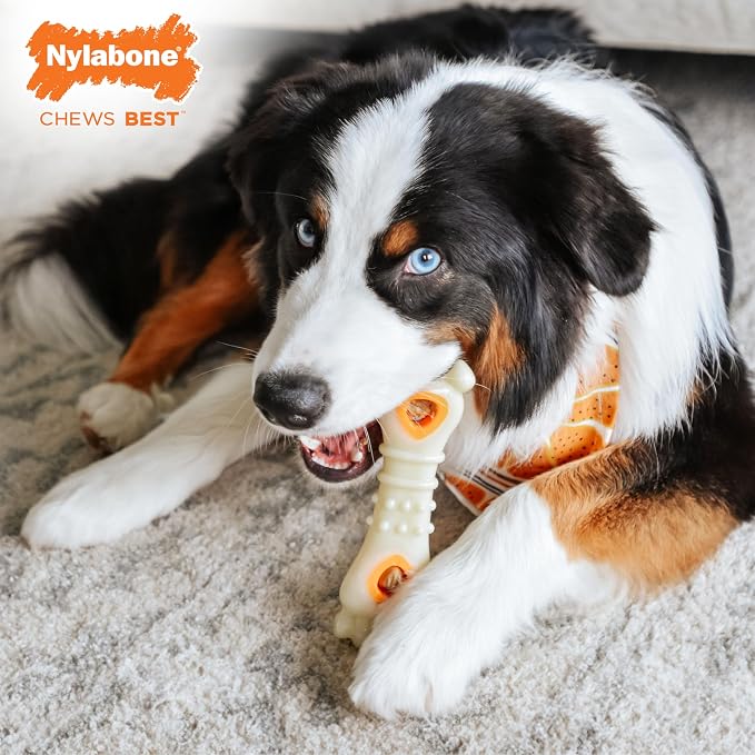 Nylabone Pop-in Treat Toy Chicken Dog Treat Refills, 90 Count | Made with real chicken, fits any Nylabone Pop-In Treat Toy, all-natural dog treats, highly digestible, limited ingredients