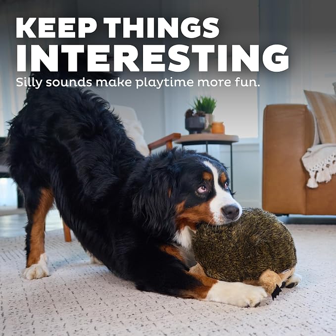Outward Hound Hedgehogz Plush Dog Toy, Squeaks & Grunts, XL, 12" x 9" | Soft Realistic Faux Fur, Round for Rolling & Chasing, Cuddle & Carry, Interactive Fetch, Light Chewers, Dogs & Puppies