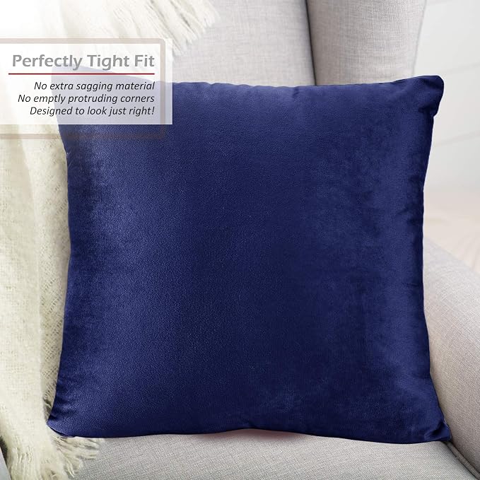 Throw Pillow Inserts Pack of 2 with Velvet Soft Solid Decorative Square Throw Pillow Covers Set for Sofa Couch Car Bedroom, 24X24 Throw Pillows Inserts with 22x22 Washable Cushion Covers, Royal Blue
