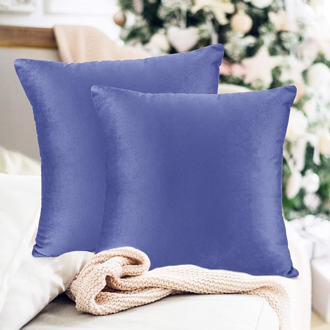 Throw Pillow Inserts Pack of 2 with Velvet Soft Solid Decorative Square Throw Pillow Covers Set for Sofa Couch Car Bedroom, 18X18 Throw Pillows Inserts with 16x16 Washable Cushion Covers, Calm Blue