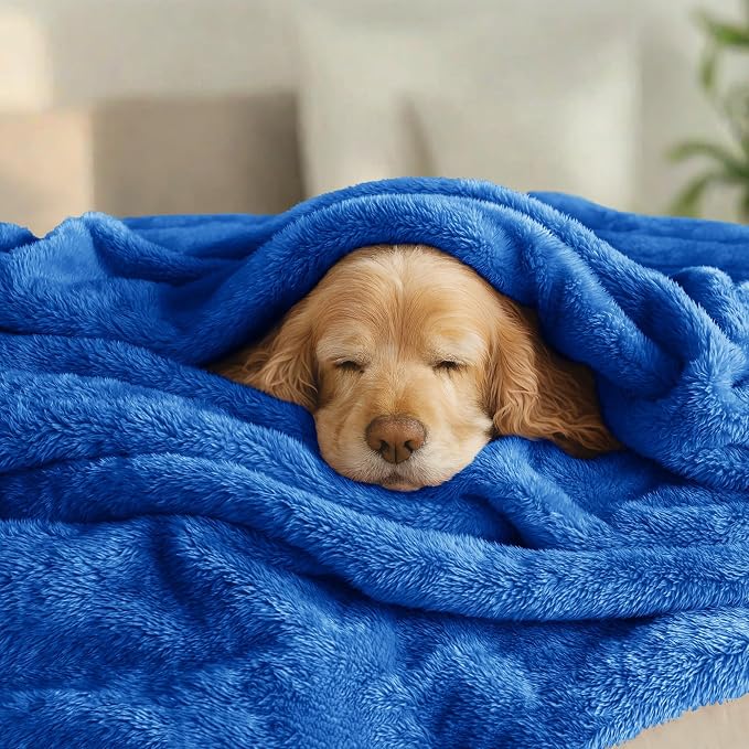 Exclusivo Mezcla Fuzzy Plush Fleece Bed Blanket Twin XL Size, Cobalt Blue | 90x66 Inches, Super Soft and Cozy Bed Blanket, Fluffy Blanket for Bed, College Dorm Room Essentials, All Season