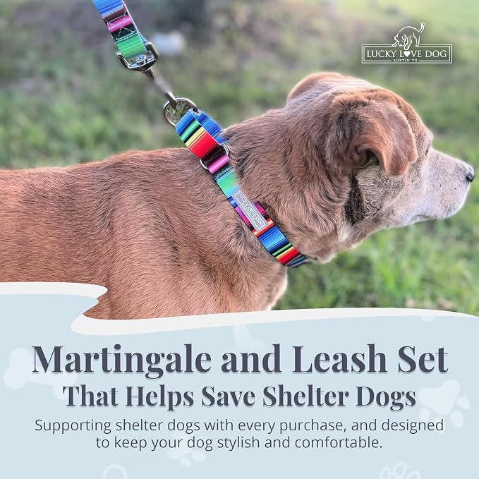 Lucky Love Dog Martingale Collar & Leash Set Cute – Nacho Color and, Large