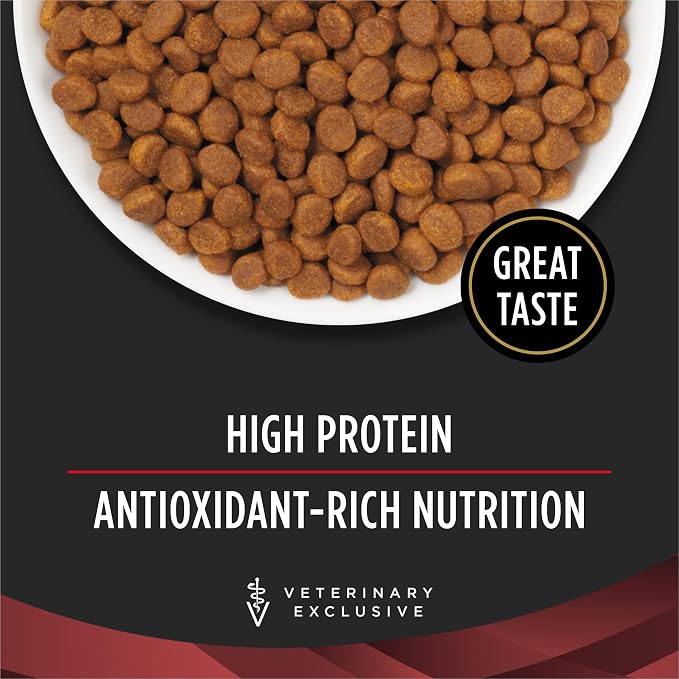 Pro Plan Veterinary Diets Purina DM Dietetic Management Feline Formula Dry Cat Food - 10 lb. Bag