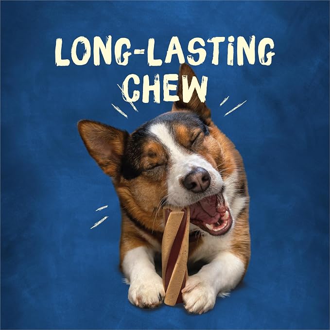 Purina Busy with Beggin Twisted Small/Medium Dog Treats, (2) 6 ct Pouches | Bacony dog treat wrapped around long-lasting Busy chew, rawhide free with real meat, for medium and small dogs 25+ lbs