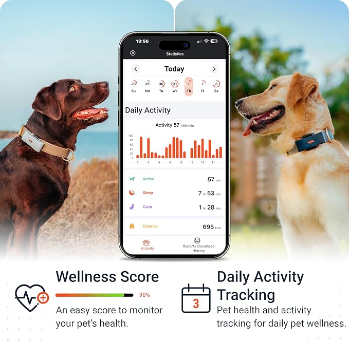 PAJ Dog GPS Tracker 3-Month Subscription Included, Real-time Pet Tracking