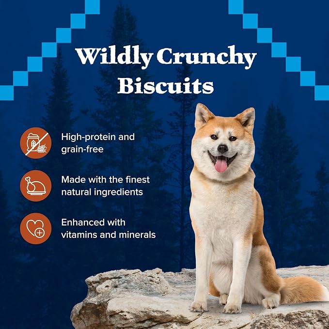 Blue Buffalo Wilderness Turkey Crunchy Dog Biscuits, Grain-Free, 10 oz | Real Turkey #1 Ingredient, Crunchy Biscuits, High Protein Nutrition, No Artificial Preservatives