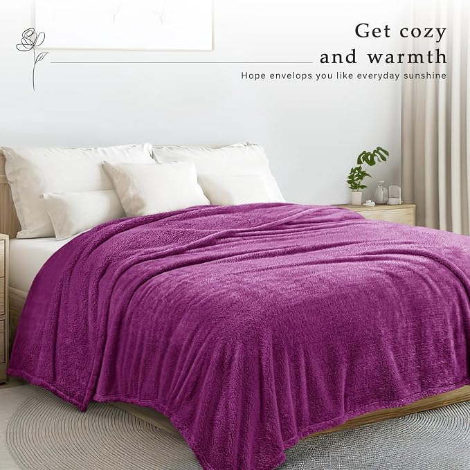 Exclusivo Mezcla Soft Plush Fleece Twin Size Blankets for Bed Living Room | Lightweight Fuzzy Fluffy Large Blanket for All Seasons, Cozy Velvet for Women Men, Machine Washable, 60"x80", Purple