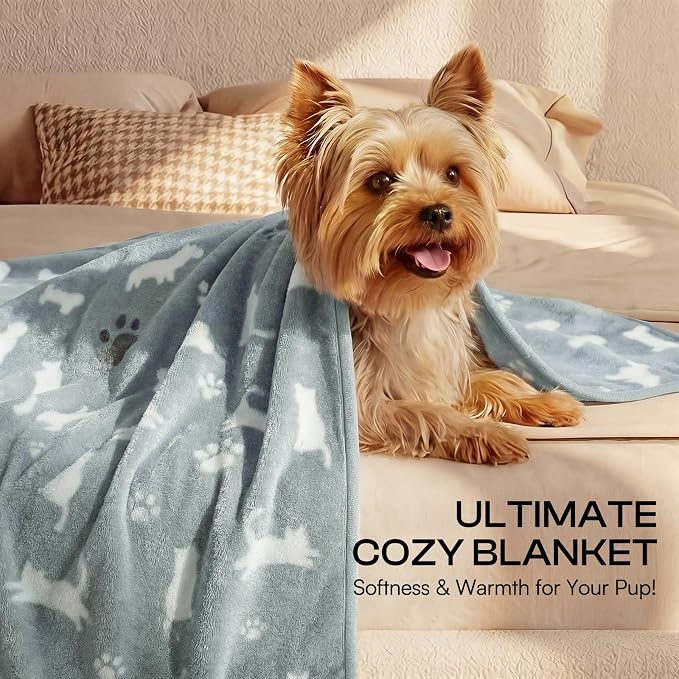 Luciphia 3 Pack Cute Cat Blankets Cozy Small Throw for Pet Puppy,41"x31" | 280GSM Fuzzy Kitten Pet Blankets Washable for Crate Bed Couch Car Indoor - Puppy Essentials Dog Gift
