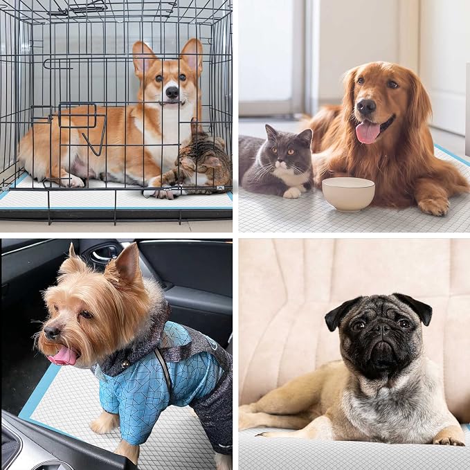 Boscute Thicken 6 Layers Heavy Absorbent XL 36"x24" Pet Training Dog Pee Pads, Extra Large Polymer Leak-Proof Quick Dry Puppy Pee Pads, Disposable Pee Pads for Dogs Cats Rabbit, 30 Counts | Heavy Absorbent up to 7 Cups, Quick Dry, for Dogs Cats Rabbit ...
