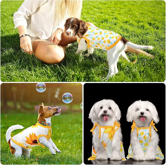 Frienda 4 Pieces Dog Clothes Set Include 2 Pcs Cute Pet Dress Lovely Dog Dress and 2 Pcs Breathable Pet T Shirt Puppy Clothes(Pineapple, Sunflower,X-Large)