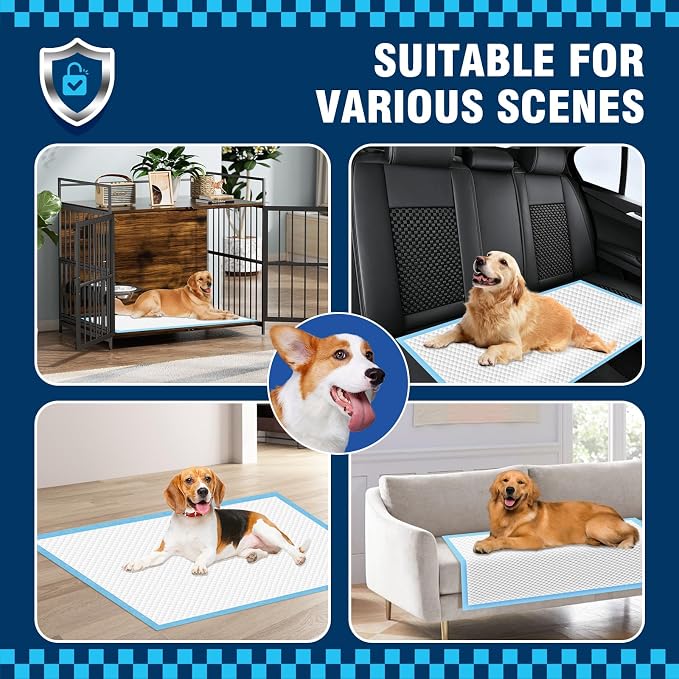 VJJ Puppy Pads XL 30"x35", 50 Count Disposable X-Large Potty Pads, Pee Pads for Dogs Large for Doggie&Cats, Dog Pee Pads Extra Large for Indoor, Outdoor Use
