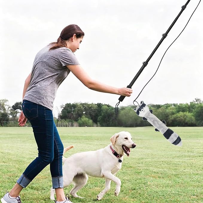Flirt Pole for Dogs, Interactive Toys Tug-of-war for Dogs, Five-Section Retractable Adjustable Length, Chase Toys with Rope Chewing Sticks, for Outdoor Exercise & Training