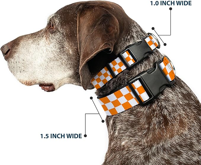 Buckle-Down Plastic Clip Dog Collar