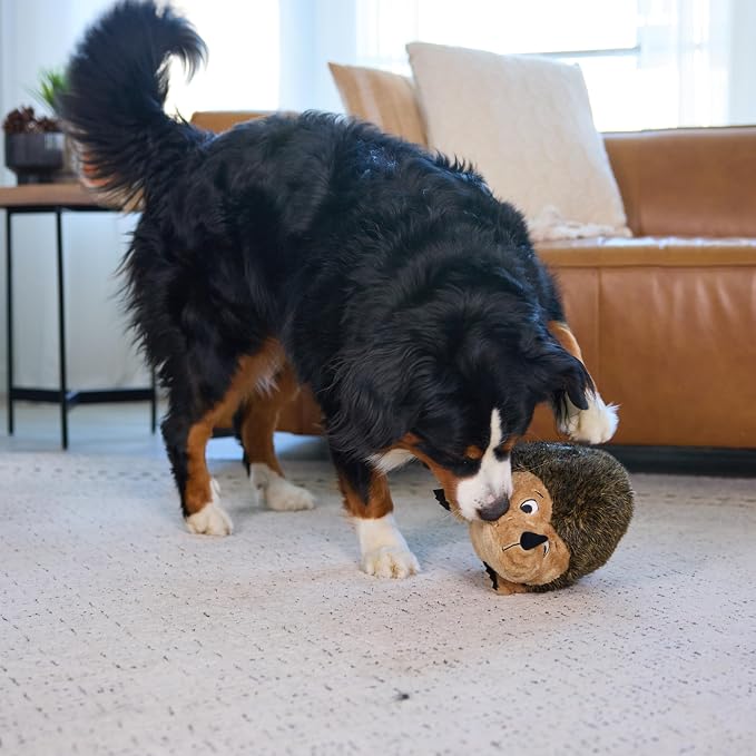 Outward Hound Hedgehogz Plush Dog Toy, Squeaks & Grunts, XL, 12" x 9" | Soft Realistic Faux Fur, Round for Rolling & Chasing, Cuddle & Carry, Interactive Fetch, Light Chewers, Dogs & Puppies