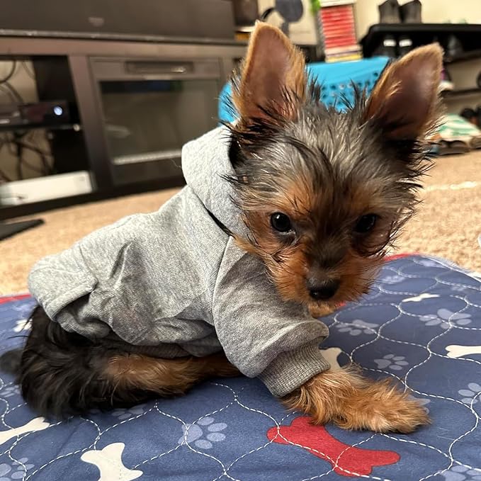 Soft Dog Hoodies for Small Dogs, Warm Fleece Puppy Clothes with Pocket | Jecikelon cold weather coat, cute puppy costume, breathable sweatshirt for dogs girl & boy, machine washable, easy on & off