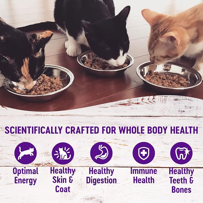 Wellness Healthy Indulgence Shreds Variety Pack Adult Wet Cat Food, Natural, Protein Rich, Grain Free, 2 Flavors, 3 oz, Pack of 8 Pouches
