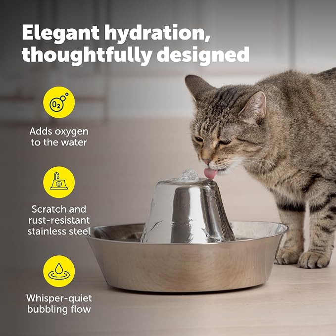 Seaside Stainless Cat & Dog Fountain with 4-Pack of Carbon Filters | 60 Oz Capacity with Extra Carbon Filters, Triple-Filter Operation, 360-Degree Flow, Rust-Resistant Stainless Steel
