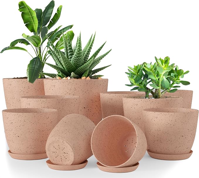 Plant Pots Indoor with Drainage 10 Pack Planters Spotty Peach Pink | Drainage holes included Multiple sizes 7/6.6/6/5.3/4.8 In Indoor plants and flowers Durable plastic construction