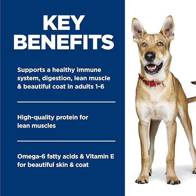 Hill's Science Diet Adult 1-6 Wet Dog Food | #1 Veterinarian Recommended, Salmon & Barley, 13 oz. Cans, 12-Pack