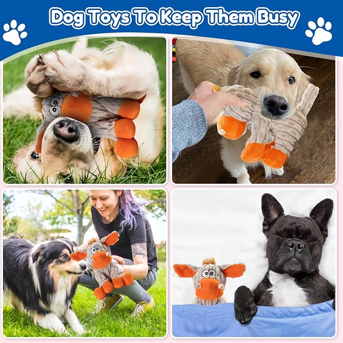 loncoldy Squeaky Dog Toys, Tough Chew Toys for Dogs, Crinkle Interactive Squeaky Stuffed Dog Toy for Medium Small Puppy Breeds, Plush Dog Toy to Keep Them Busy, Pet Toys for Dogs