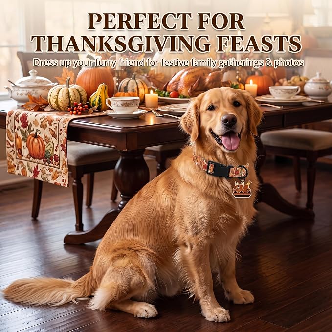 Fall Dog Collar, Thanksgiving Dog Collar for Large Dogs, L