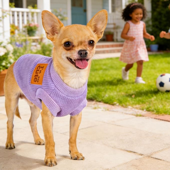 2 Pack Dog Shirt Vest Dog Clothes for Small Dogs Summer Waffle Puppy T-Shirts Soft Sleeveless Pet Clothes Lightweight Medium Large Doggy Outfit Cat Clothing (Purple+Khaki, XX-Large)