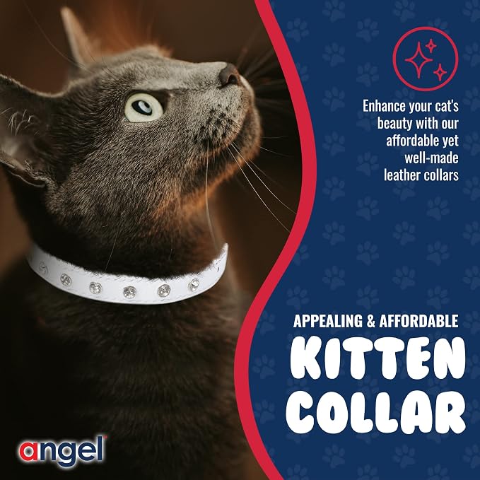 Athens Cat Collar, Leather Kitten Collar w/Rhinestones, Sturdy Breakaway Cat Collar with Bell & Elastic Stretch, Cat Accessories, Ivory White, 10 x ½ inches - Angel Pet Supplies