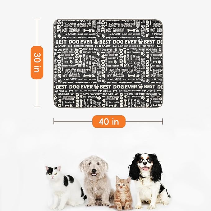 Waterproof Pet Blanket for Small Dogs and Cats 30"x40" | Washable Dog Blanket, Soft Fluffy Sofa Car Bed Protector, Reversible Sherpa Fleece Puppy Blanket, Letters