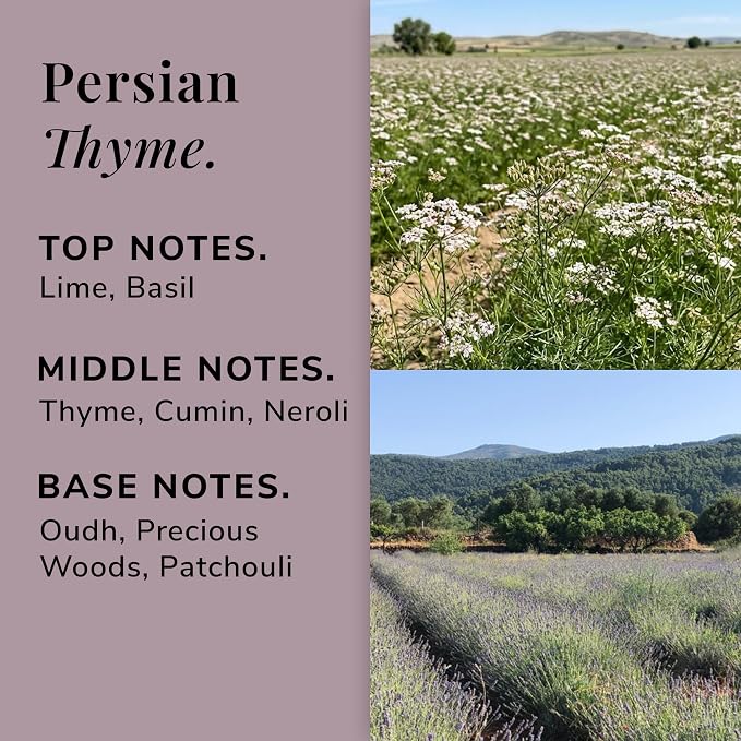Persian Thyme Aromatherapy Candle – Thyme, Neroli & Oudh Scented Candle, Plant-Based Wax, 15.8 oz, 60 Hour Burn Time, Exotic & Woody Candle