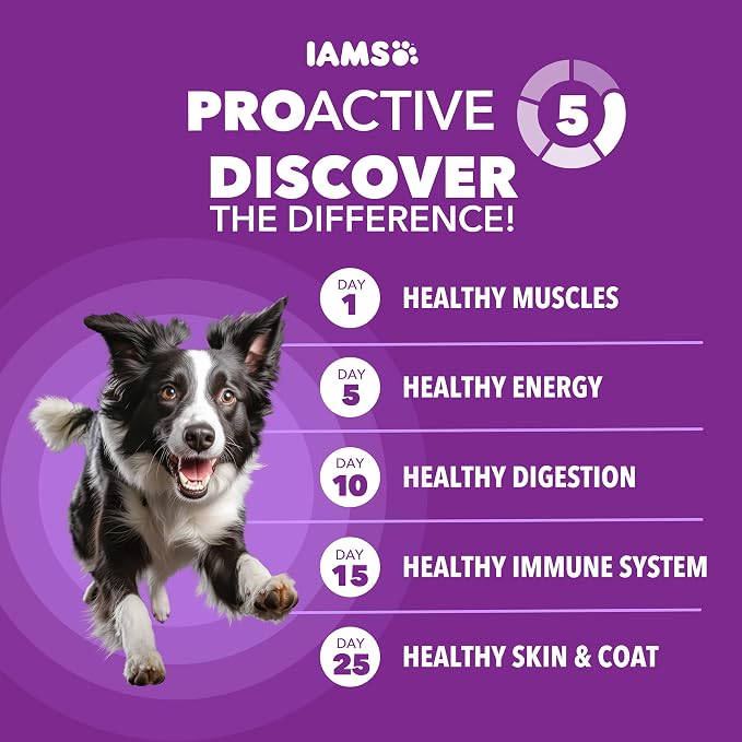 IAMS Advanced Health Healthy Digestion Dry Dog Food, Chicken, 27 lb | Real farm-raised chicken #1 ingredient, 0% fillers, natural fiber & prebiotics, supports digestive health