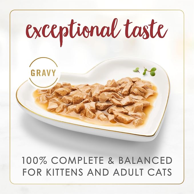 Fancy Feast Purina Gravy Lovers Beef Feast Grilled Gourmet Cat Food in Wet Cat Food Gravy - 3 oz. Cans (Pack of 48)