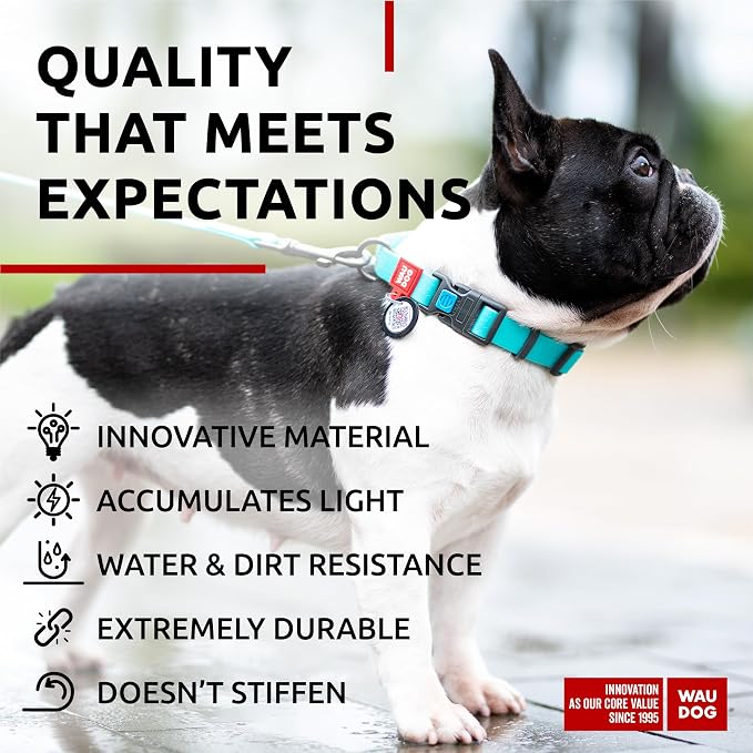 WAUDOG Waterproof Dog Collar Airtag Holder QR Tag Small Medium Large Dogs | Water and Dirt Resistant, Quick Dry QR Pet Tag Adjustable Durable Comfort for Male and Female Dogs Outdoor Walking Training