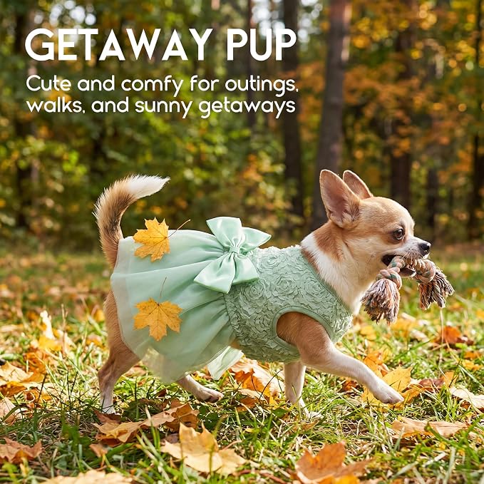 ASENKU Dog Dress Pet Wedding Dress Puppy Birthday Party Outfit, Green XXS | Dog Flower Girl Dress With Leash Hole, Princess Puppy Dress For Weddings, Daily Wear, Fits Small Medium Large Dogs Cats