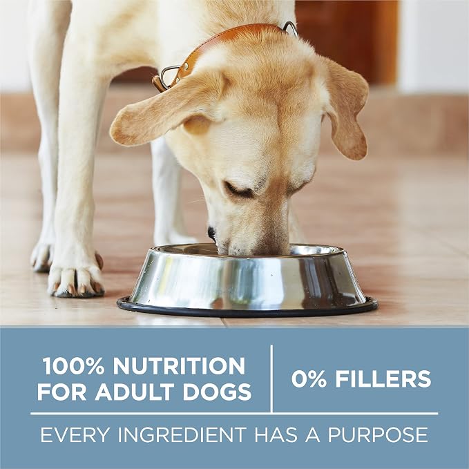 Purina ONE Plus Joint Health Dry Dog Food, Chicken, 16.5 lb Bag | Natural dog food with added vitamins, minerals & nutrients, with glucosamine & fish oil to support joint health and mobility
