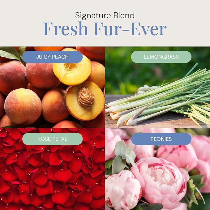 Air Esscentials Fresh Fur-Ever Aroma Oil - Pet-Preferred Pure Essential Oil for Scent Machines & Cold-Air Diffusers | Juicy Peach & Lemongrass | Floral Harmony | Soothing Sandalwood Finish | 300mL