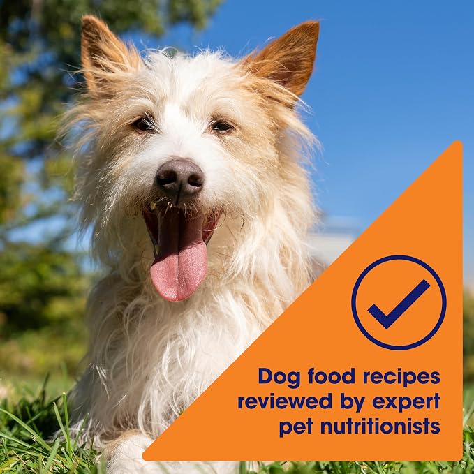 Nature's Recipe Wet Dog Food, Chicken in Broth Recipe, 2.75 Ounce Cup (Pack of 12) Package may vary